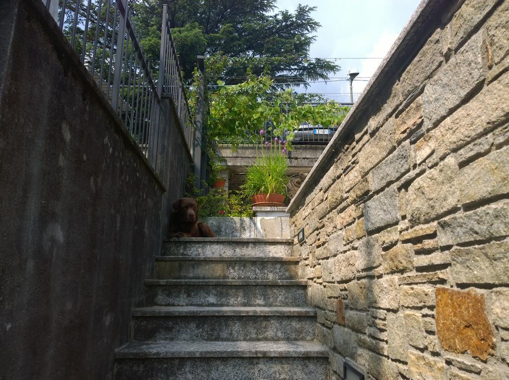 Venanzio! Apartment Pianello Del Lario Luaran gambar