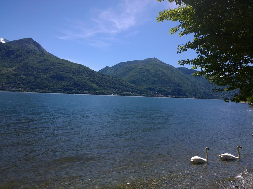 Venanzio! Apartment Pianello Del Lario Luaran gambar